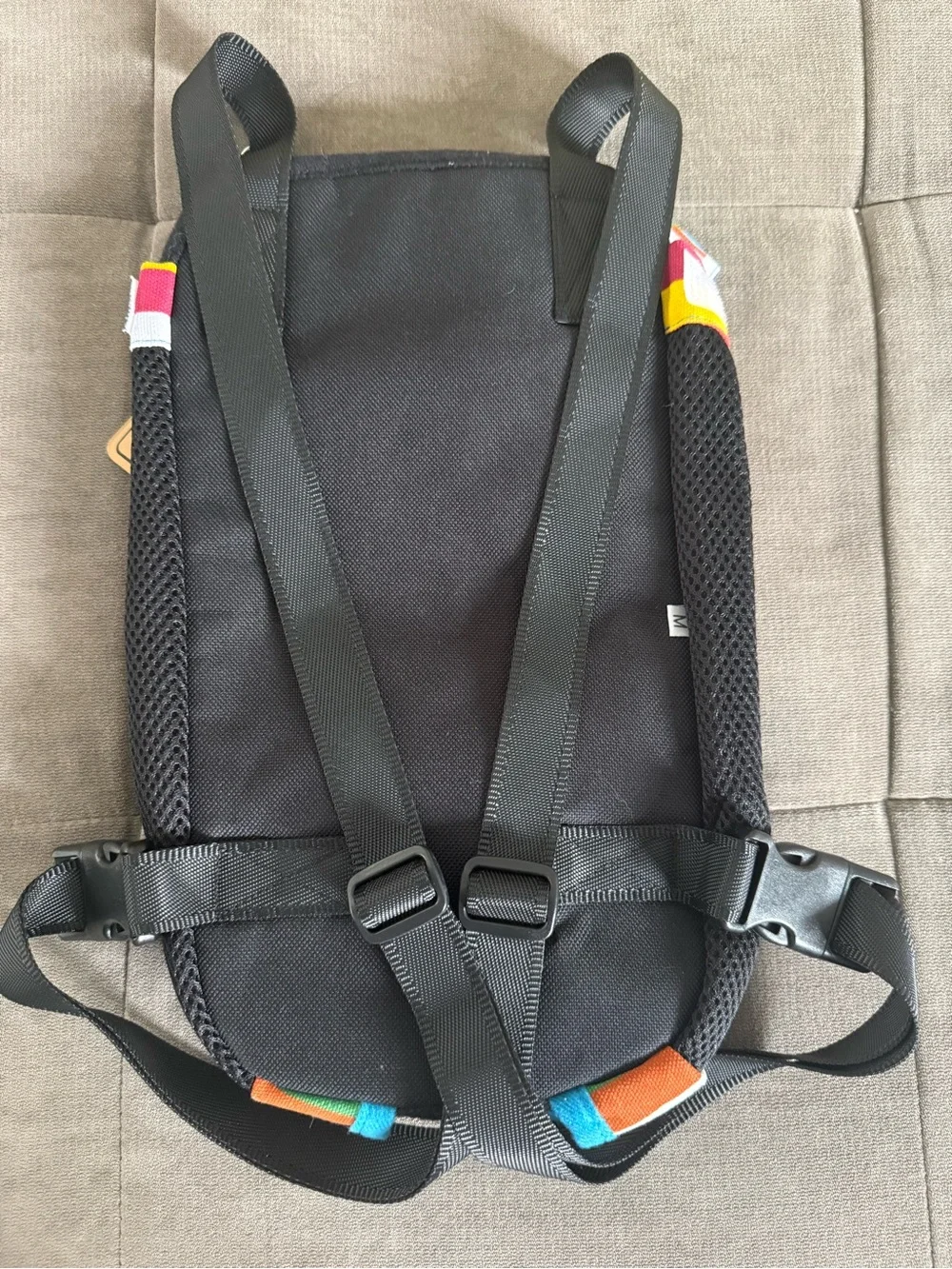 Kung Fu Dog Rainbow Striped Pet Carrier for Small Dogs or Cats NWT